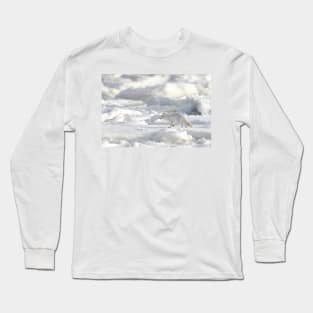 Arctic Fox #2, on the Tundra, Hudson Bay, Canada Long Sleeve T-Shirt